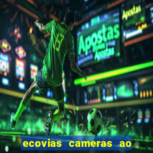 ecovias cameras ao vivo santos