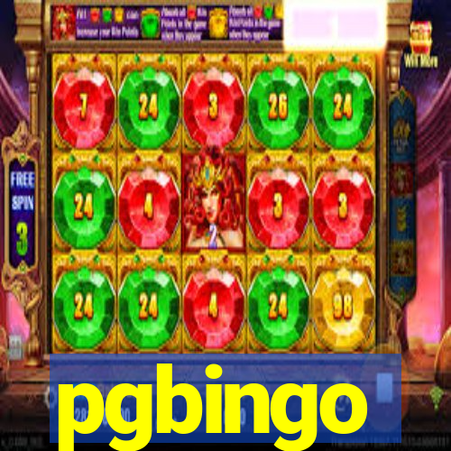 pgbingo